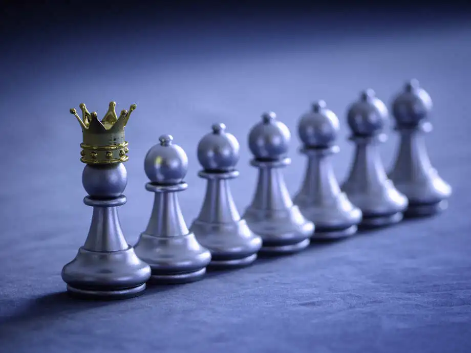 The Role of Business Leadership in Navigating Change and Growth