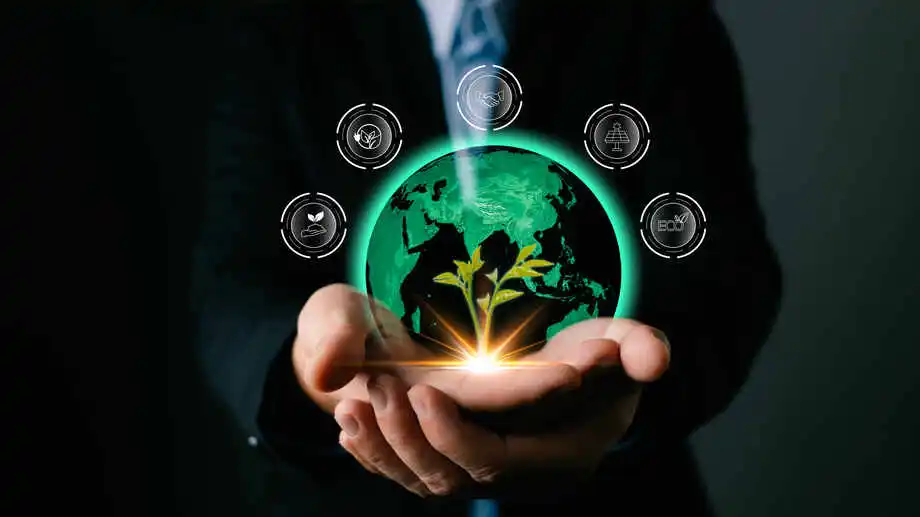 The Inevitable Importance of Sustainability in Business Today